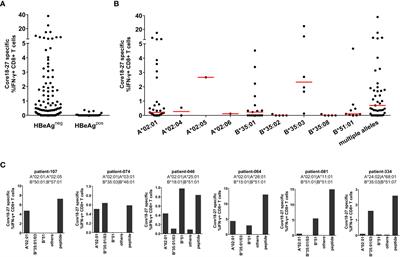 Immune escape pathways from the HBV core18-27 CD8 T cell response are driven by individual HLA class I alleles